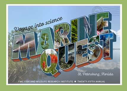 MyFWC's tweet photo. REMINDER: Tomorrow's #MarineQuest cancelled due to inclement weather: https://t.co/FjfJlOcRng #Floirida #StPete #FWRI #Tampa #Nestor https://t.co/QPiEGzfXMz