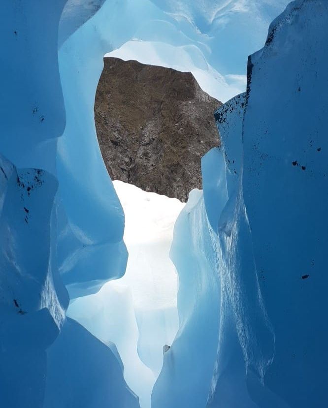 Fox Glacier Guiding tweet media