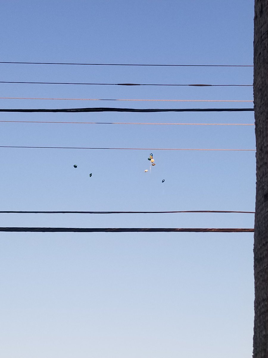 KelpCweed's tweet photo. @Cricketnation Please stop releasing your advertising balloons into the wild! https://t.co/YvdpF5blm0