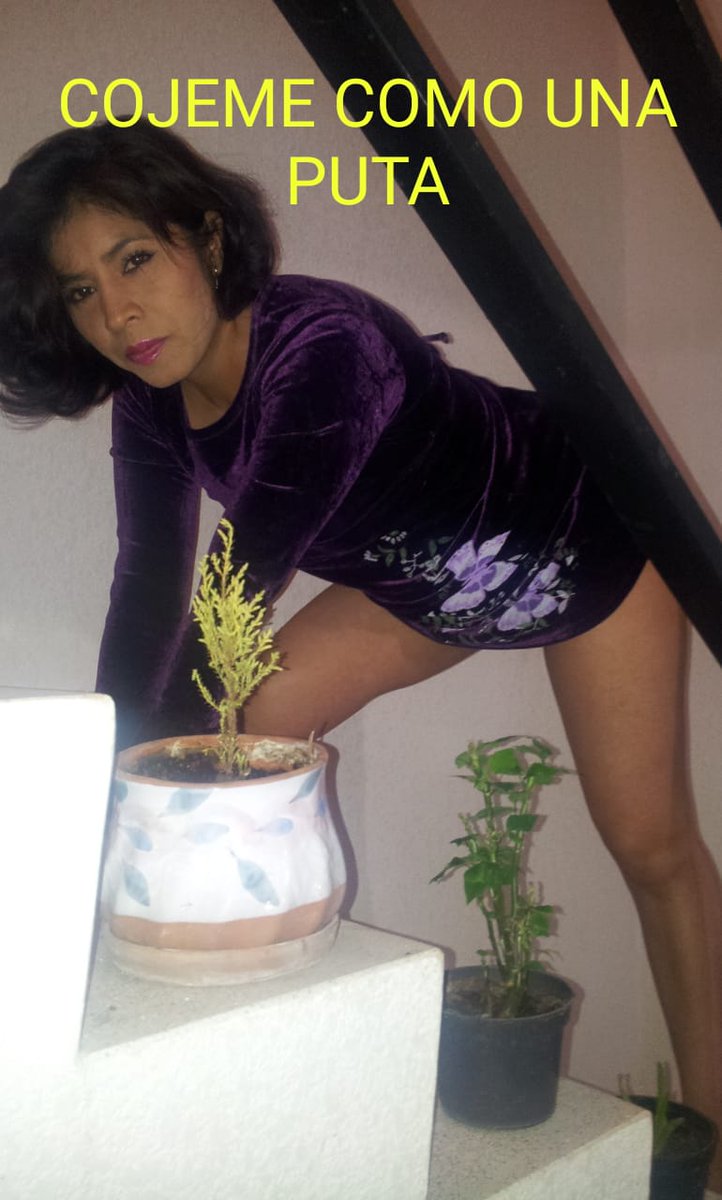 alexxandrafoxxy's tweet photo. #alejandra #puta #ladybancoazteca https://t.co/cfecQKrP2c