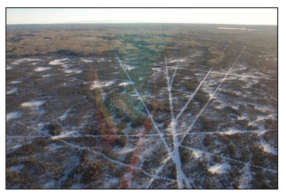JZThinAir's tweet photo. “We’ve protected enough caribou habitat.” https://t.co/WvZR13Xr49