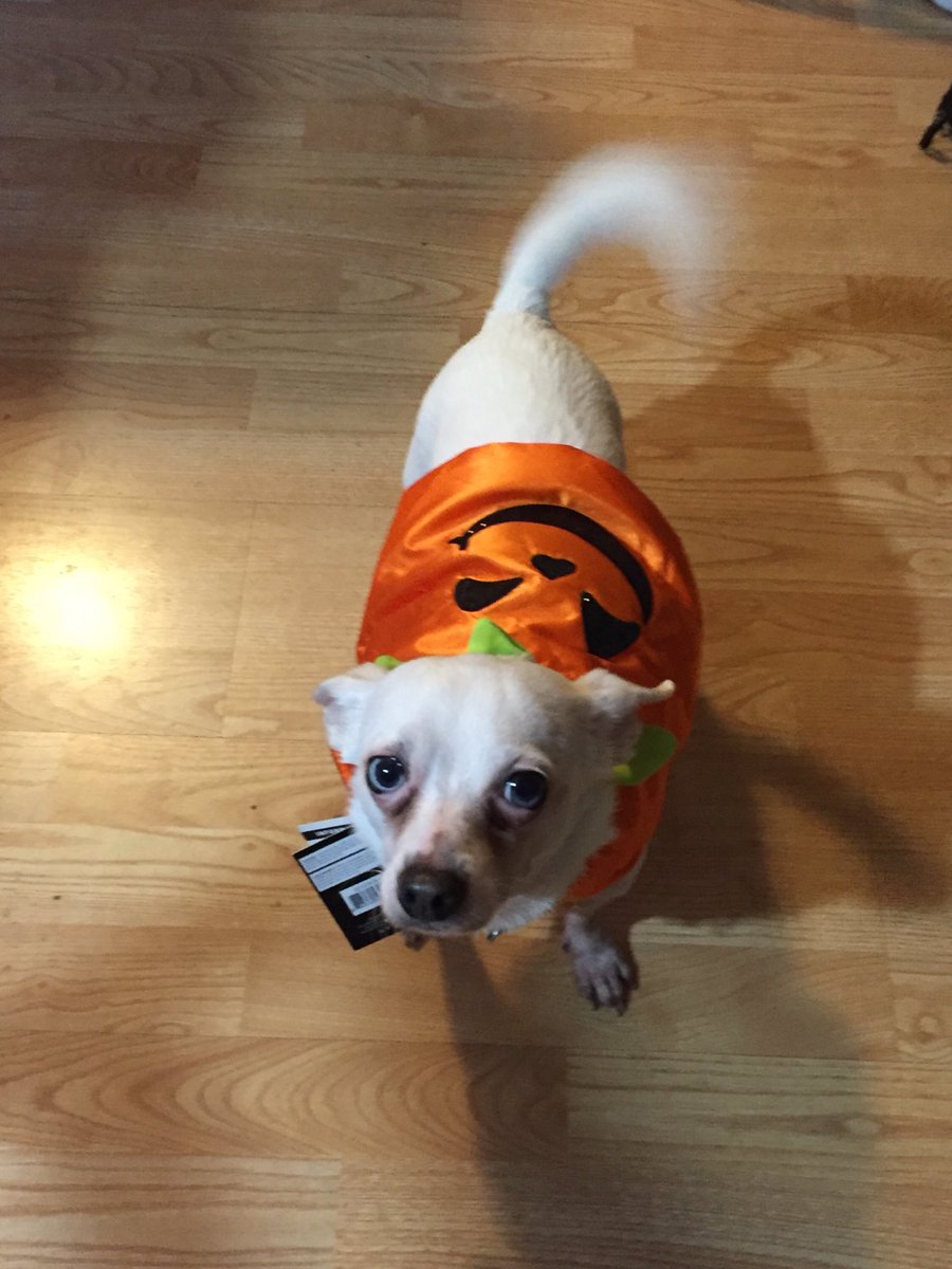 I’m not so happy with my mom right now. This costume, I don’t know....