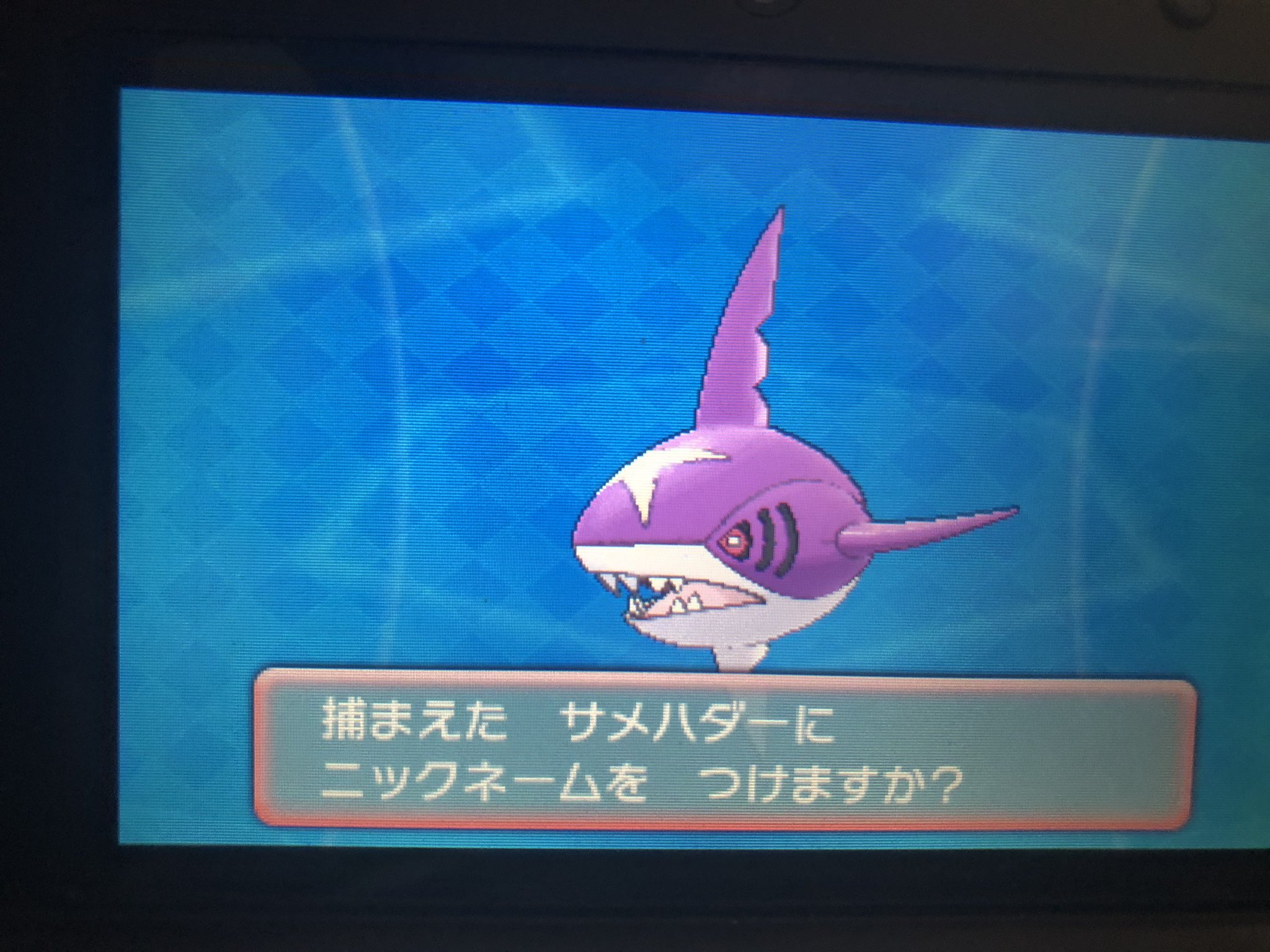 サメハダー Oras 最高のイラストと図面