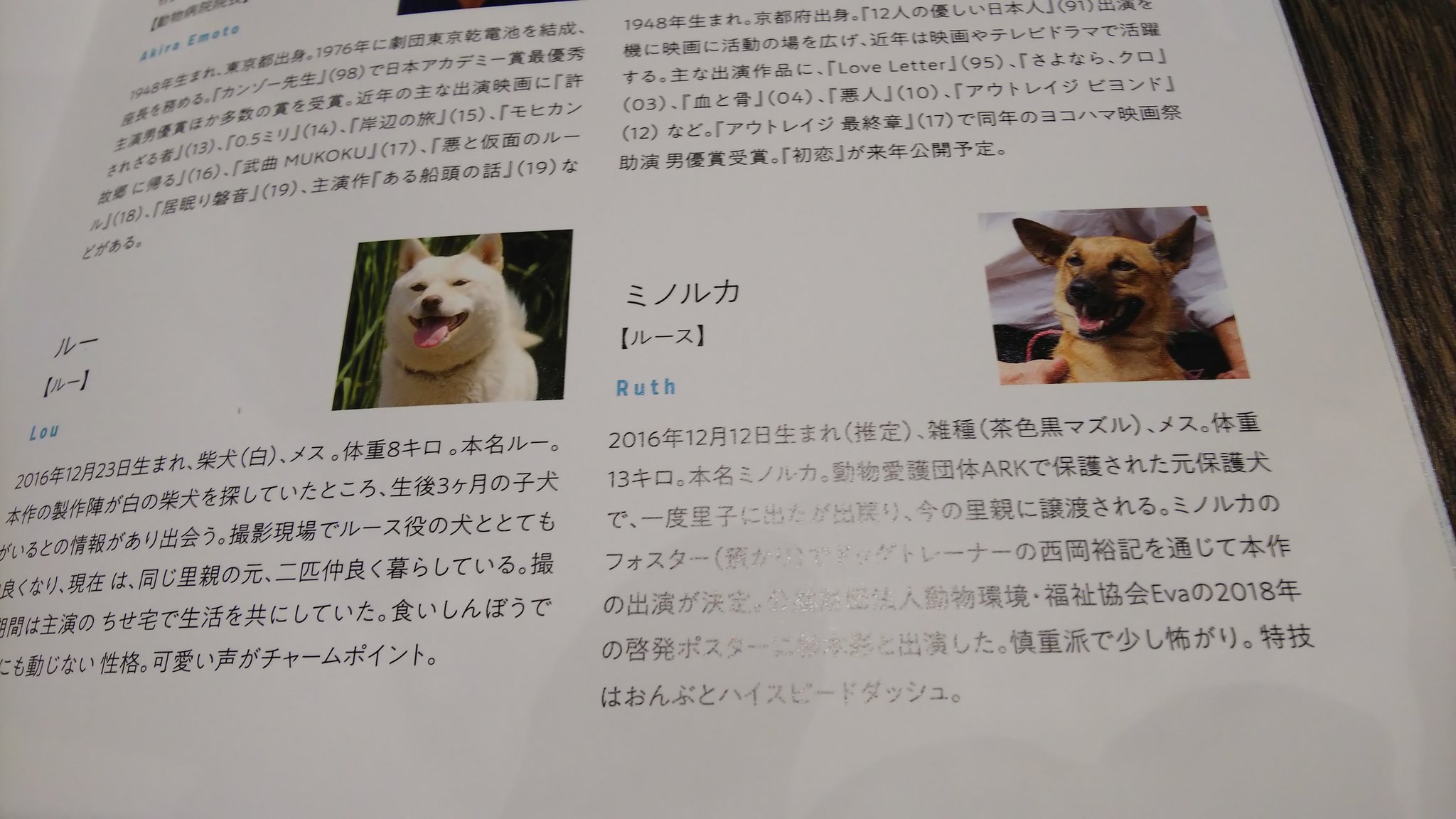 Yumiko 犬の映画 保護犬 駅までの道を教えて 大号泣 保護犬です 1度捨てられた保護犬です 涙 止まらない映画 T Co Xodlkqmvfb Twitter