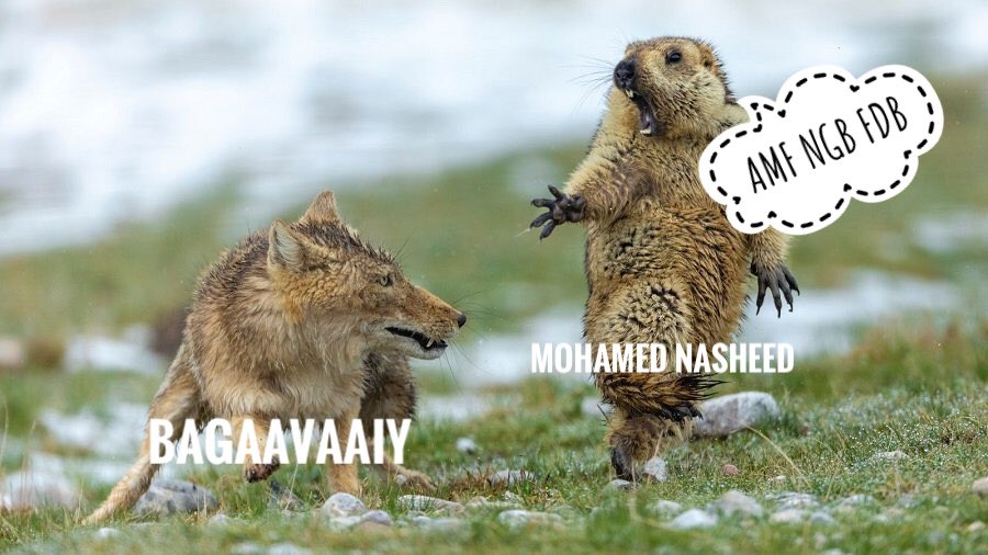 A tale as old as time.