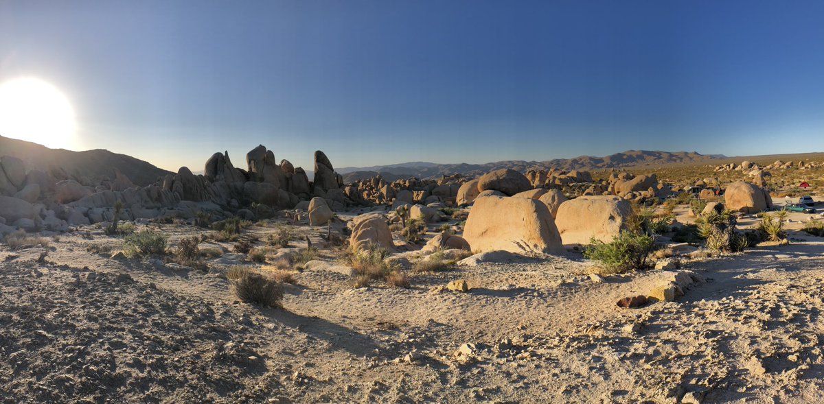 robinizard's tweet image. Took an early morning drive up to Joshua Tree National Park to catch the sunrise. Wish I would have taken advantage of this more when I lived here. #joshuatree #California