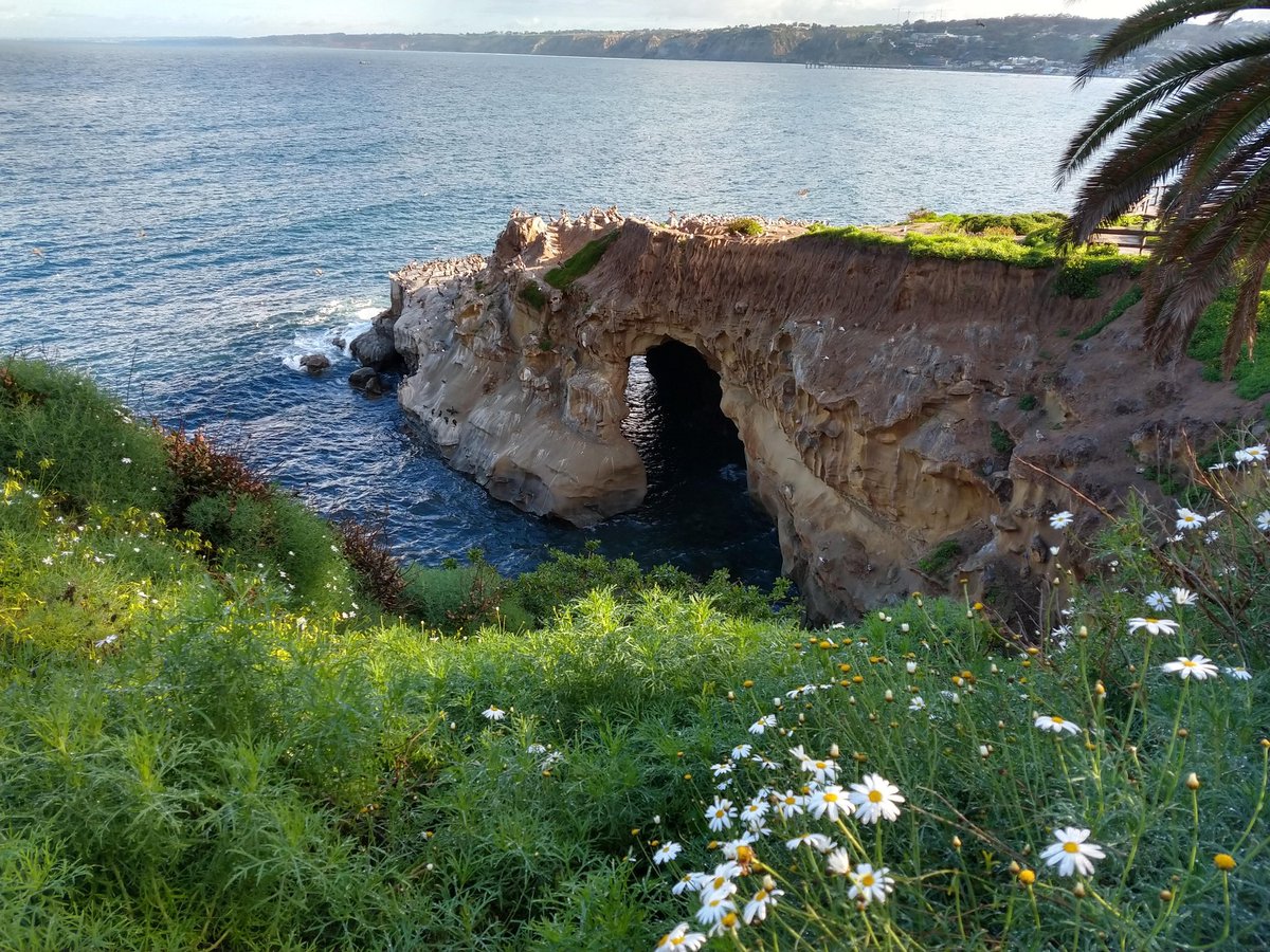 The most loved cove by every photography enthusiast, at heaven on the earth..... #lajolla . . . . . 
#lajollacove #sandiego #sandiegogram #california #califirniacaptures #californiabeaches #usadiries #loveamerica #mytravelstory #mytravelgram #lovetraveling #traveler #photography