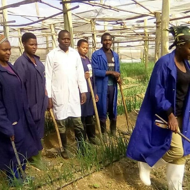 Hadija Jabiri tweet media