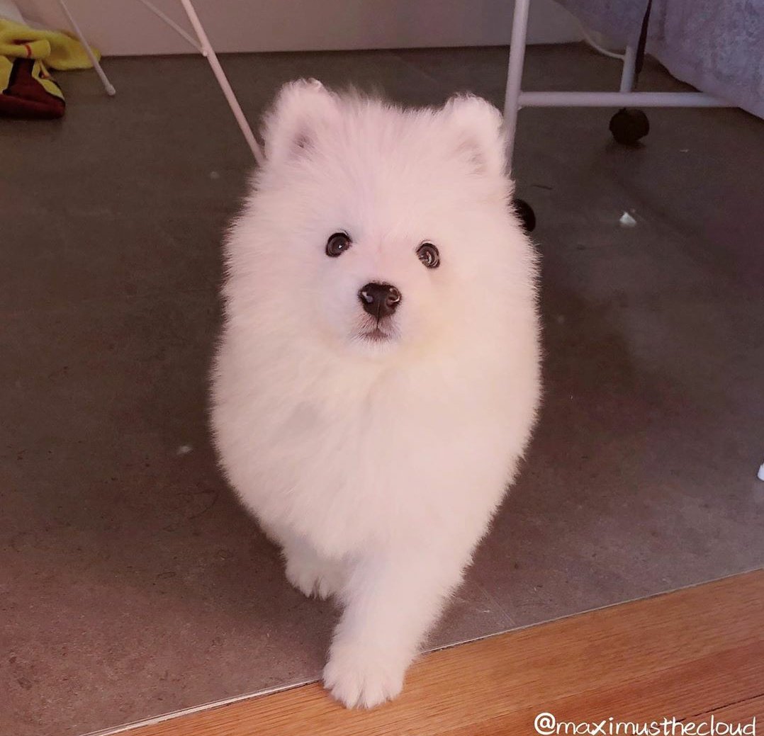 너이 𝓙 tweet media