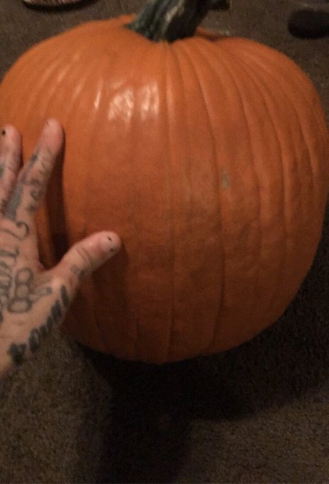 Holy pumpkin 🎃😮 https://t.co/1Kuq1ngOvF<a href="/tag/newprofilepic"class="tags"><span>#newprofilepic</span></a>
