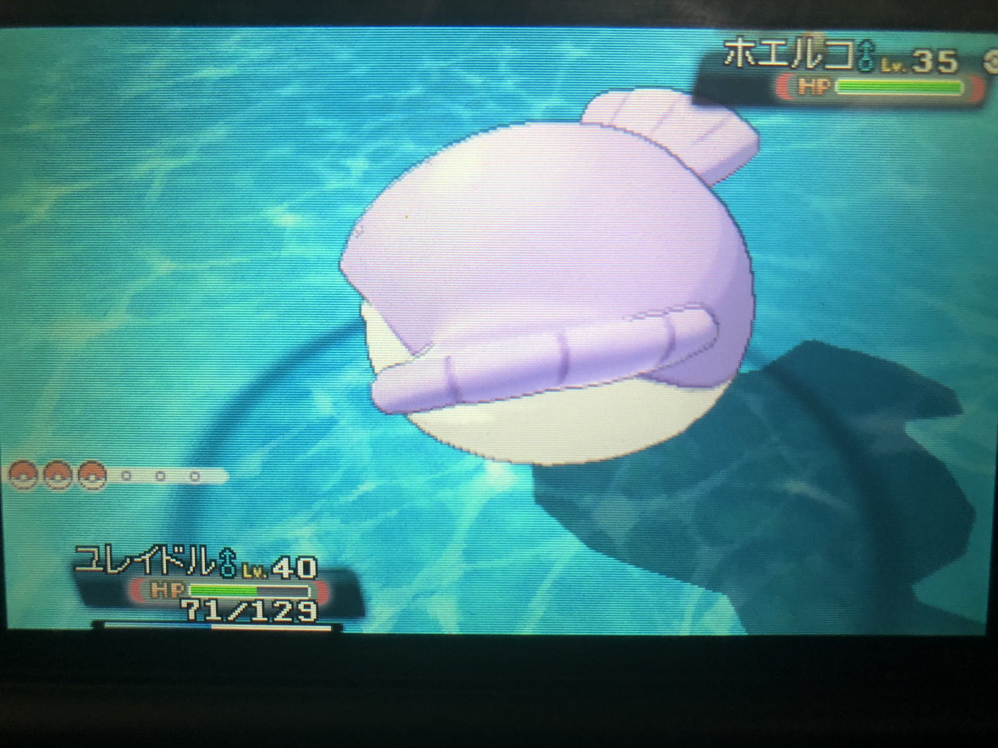 なべやき Smm2第五人格mkt 出やがった 出やがりました ポケモン Oras アルファサファイア ホエルコ T Co Rgudbq6xxr Twitter
