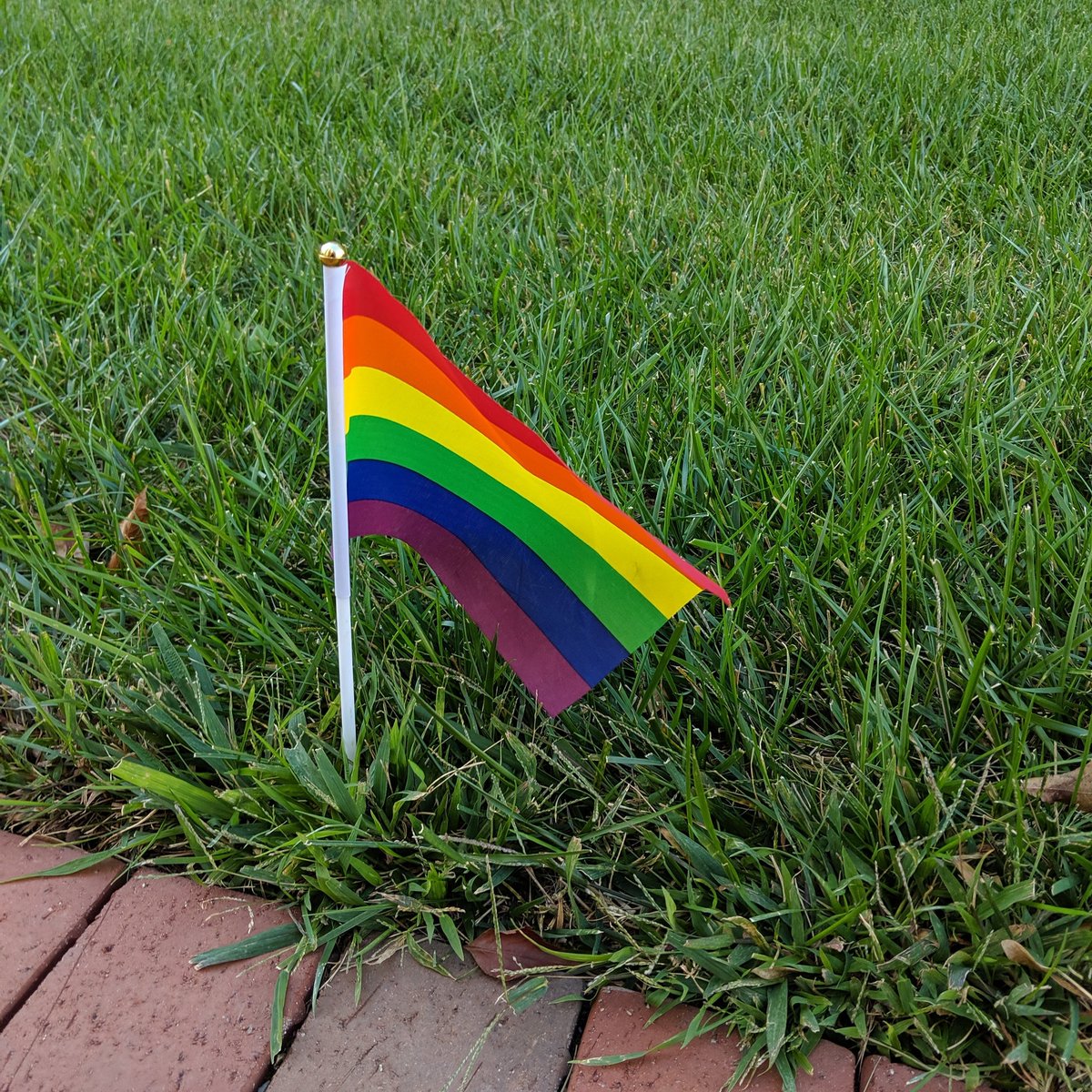 And that's a wrap on Pride Week! Thanks so much to everyone who supported all of the events and all of the people! Stay tuned for more events soon!