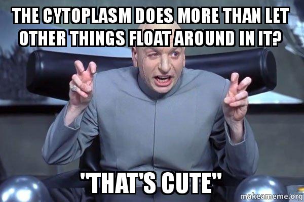 NucleoSenor's tweet photo. #organellewars @Bio2019Frazee @CytoplasmSir @CytoplasmSlick https://t.co/6SsIrVUHwx