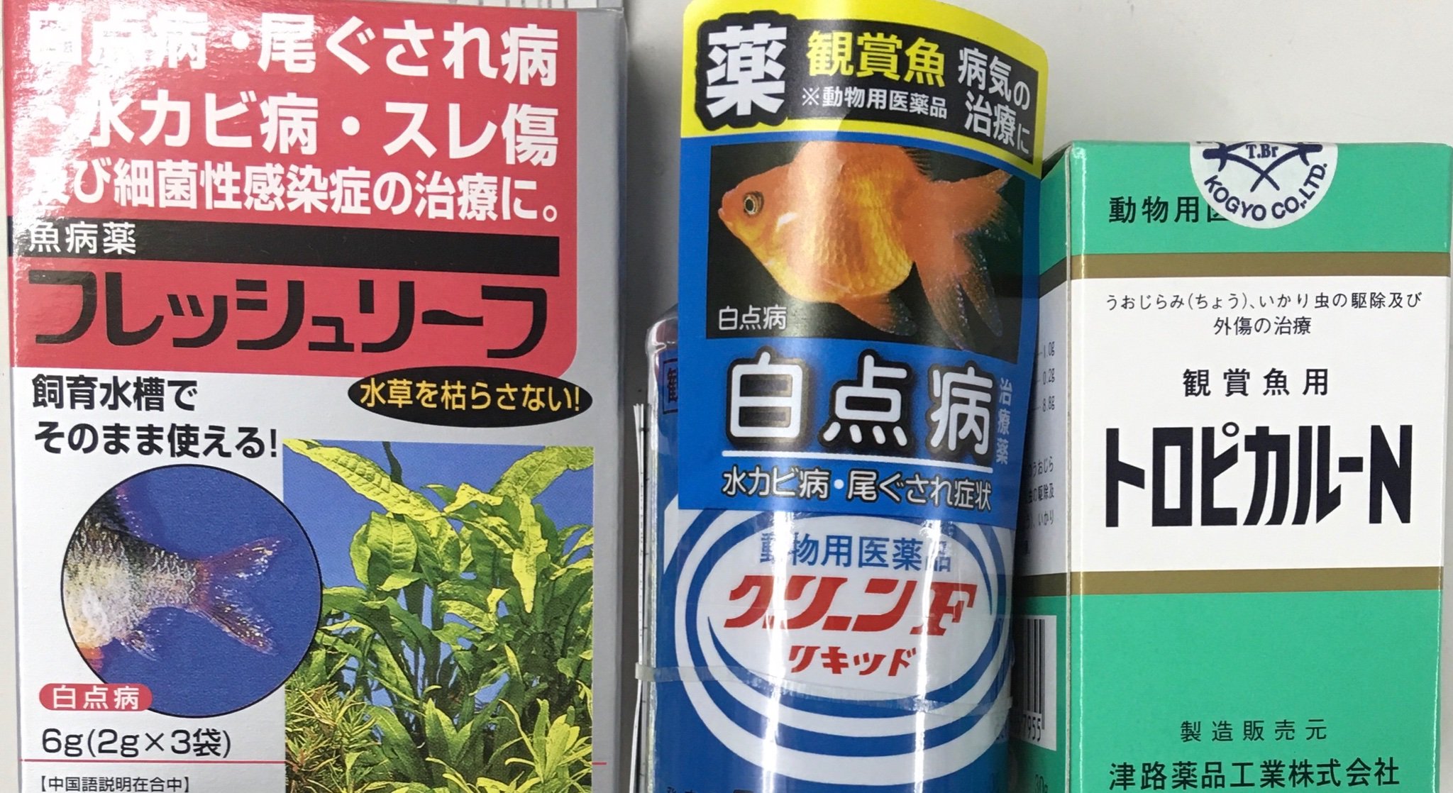 魚病薬 動物用医薬品 グリーンfゴールド顆粒 日本動物薬品 25g 5g
