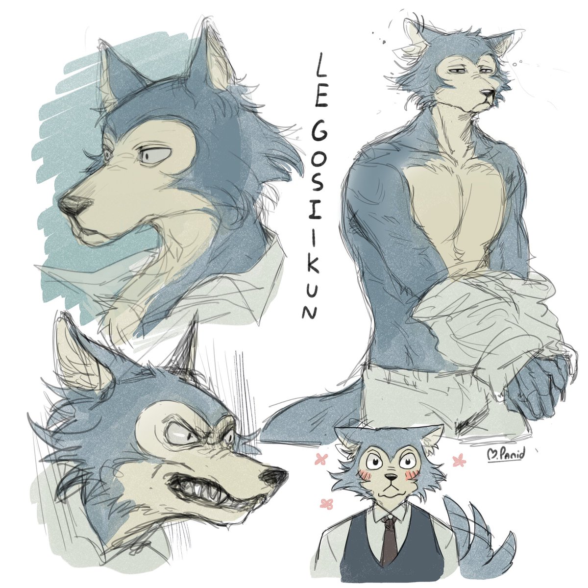 wolf beastars