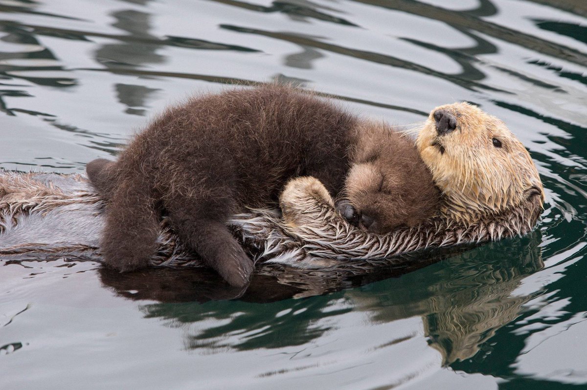 Hope you're having a relaxing start to the day.
#SaturdayMorning