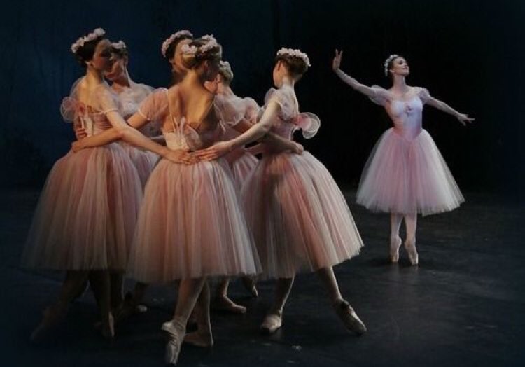 Anina86217571's tweet photo. Ballet is dessert for the senses https://t.co/rR4awSLCJR