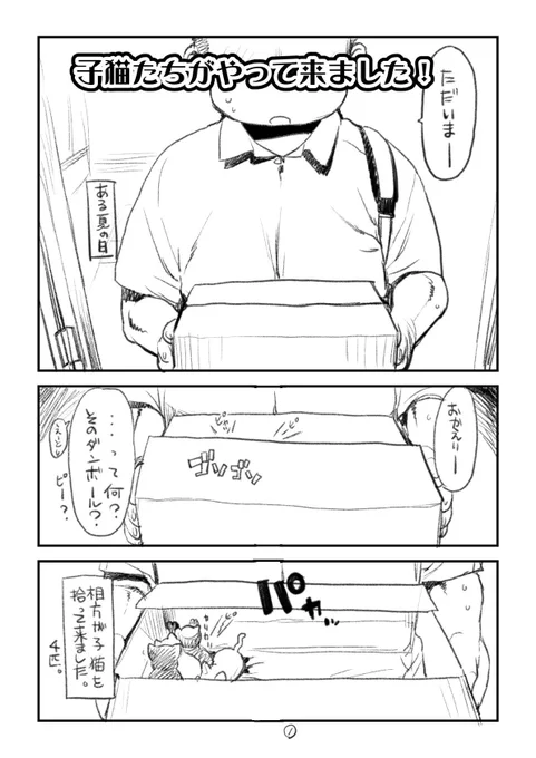 漫画かきさんと子猫たちとのもきゅもきゅ生活のハズがキリキリ舞いに・・・
出会いは突然にやって来ました。 