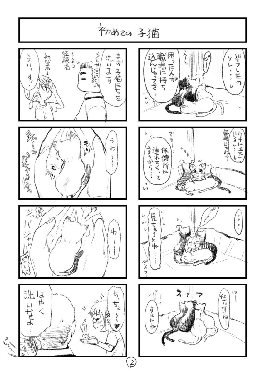 漫画かきさんと子猫たちとのもきゅもきゅ生活のハズがキリキリ舞いに・・・
出会いは突然にやって来ました。 