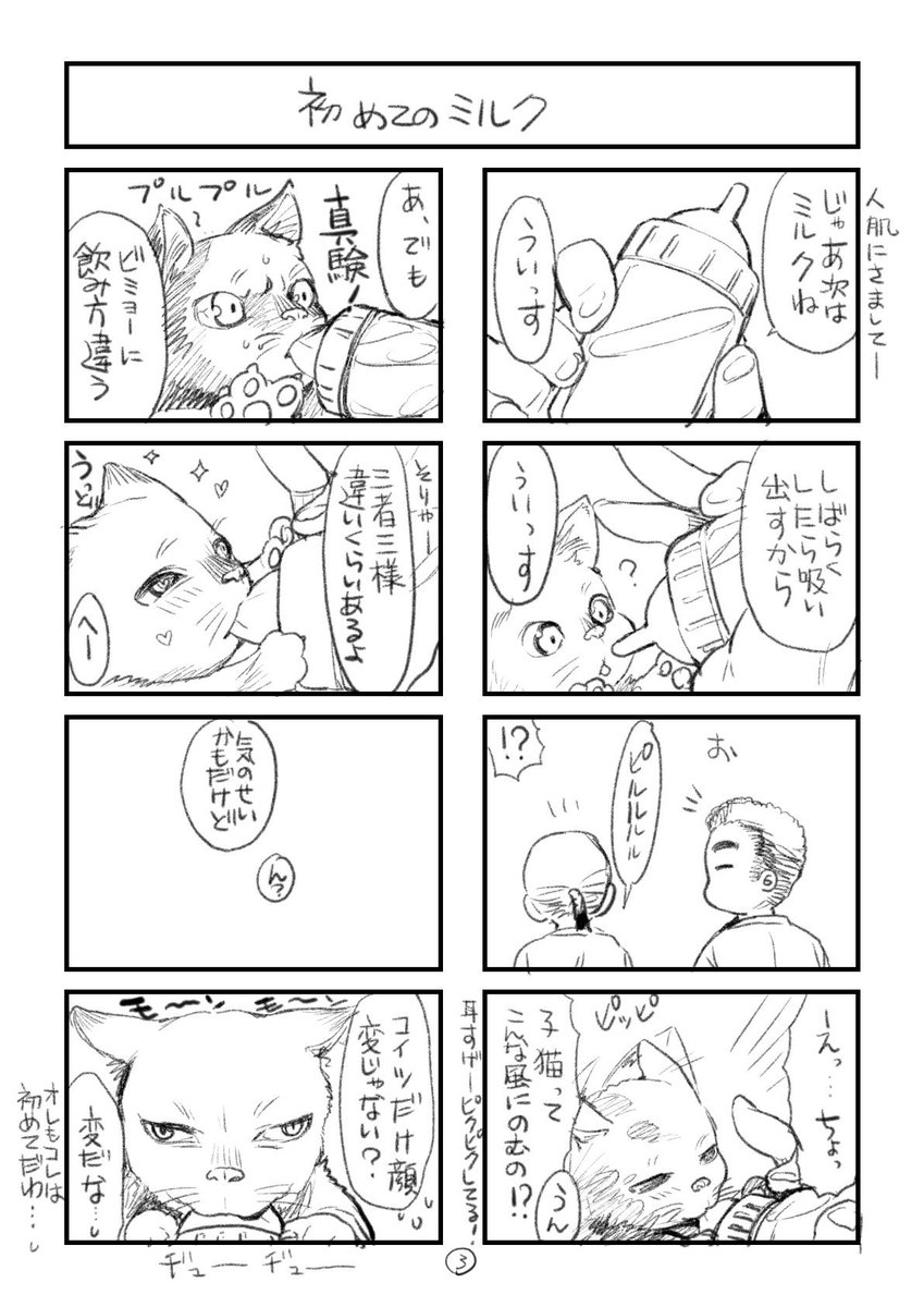 漫画かきさんと子猫たちとのもきゅもきゅ生活のハズがキリキリ舞いに・・・
出会いは突然にやって来ました。 