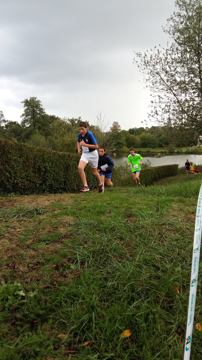 ClgRGoscinny's tweet photo. #cross2019 au @ClgRGoscinny 
Cross colegiens et écoliers  avec les CM2 des écoles du secteur. 
@dsden61 @acCaen https://t.co/HicRS0mlSr