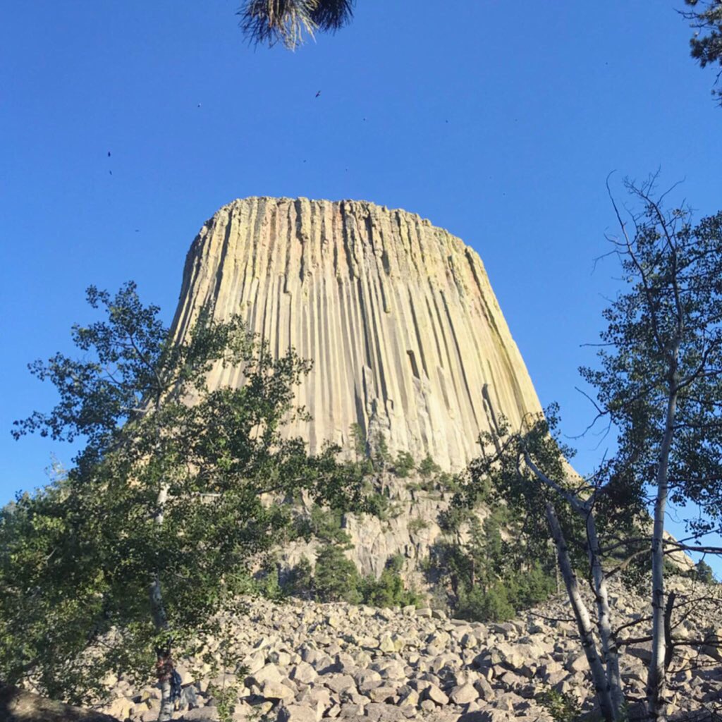lifeviewers's tweet photo. The Devils Tower Monument is humongous 😳 Definitely an eerie structure in the middle of the forests of #Wyoming 🌲🌳🌲🌳🌲 

We were surprised to find out that scientists believe this is what remains of the lava once exploding from a volcano! 🌋 #roadtrip #UnitedStates https://t.co/C7oEMArclM