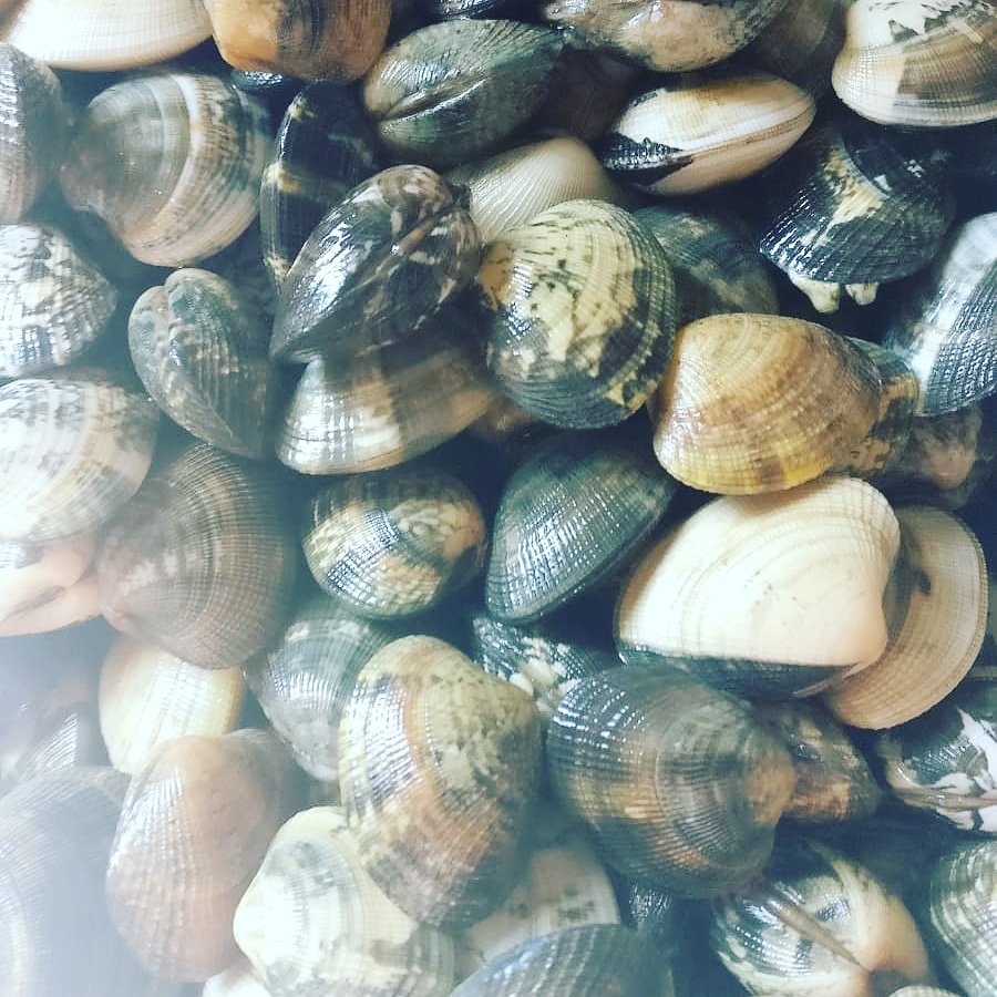 Il #profumino delle #vongole #veraci in cottura é inebriante... Con un buono #spaghettino al dente é un'accoppiata #vincente ! Stasera si replica... Ti aspettiamo ! . . . . #ristorantino #verona #gardalake #sona #cucina #romantico #informale #carne #pesce