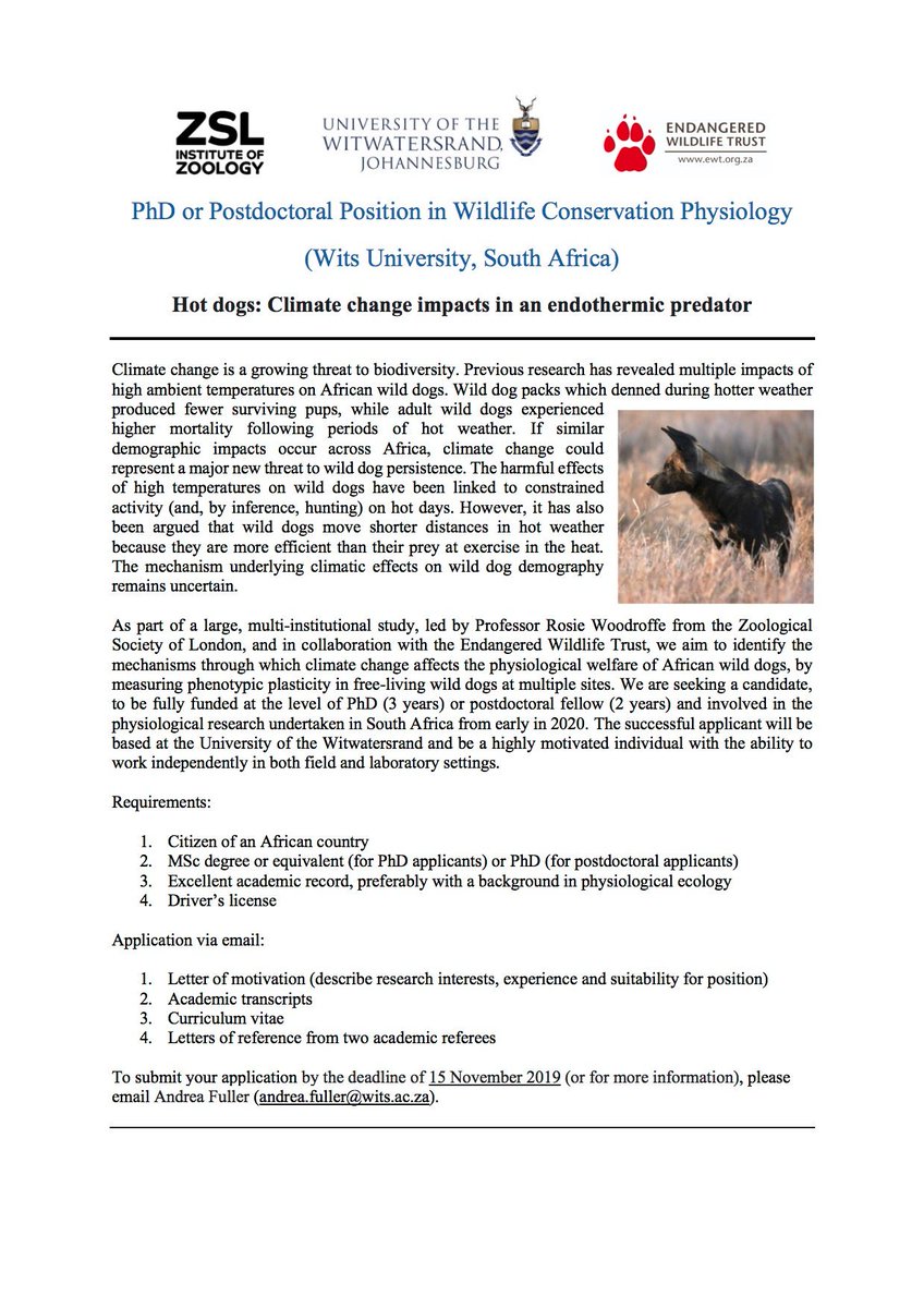 African wild dogs and climate change - Postdoc or PhD position in physiological ecology available! African applicants only. Please retweet. Thanks