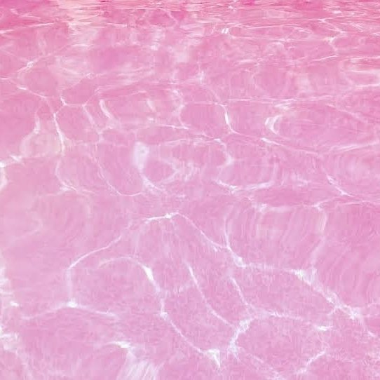aesthetic_mind_'s tweet photo. Pink...🌸 https://t.co/q6tLORqM7X