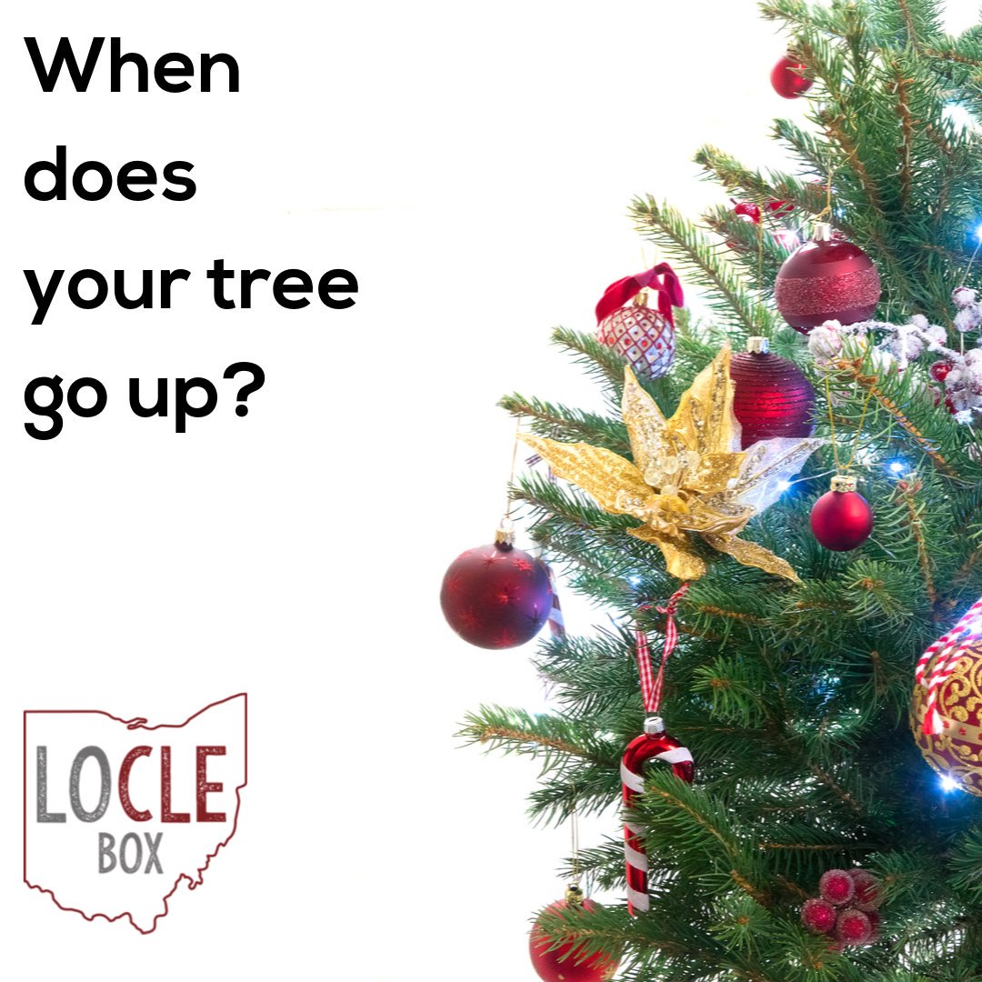 When is yours going up?

❤It is up now!
💙November
💚December