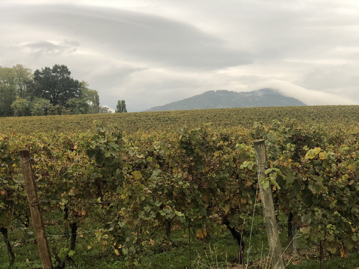 a nice surprise from the customer. fairytale accommodation in Italian vineyards Cascina Carretto 🍇🍷 Grazie Fabrizio👍 #customer #nicecustomer #nicetime #italia #vineyards #uvprinter