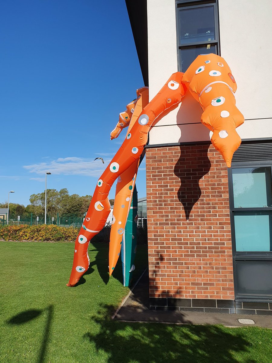 VickyHolbrough's tweet photo. Great to see this all come together in just 6 2hr sessions! #playfulplaces #apollopavilion #inflatable #inspiredbythesea #tentacle #denecommunityschool @rougeit @scooperstudio @rochellelaine https://t.co/wF23XZ4D2S