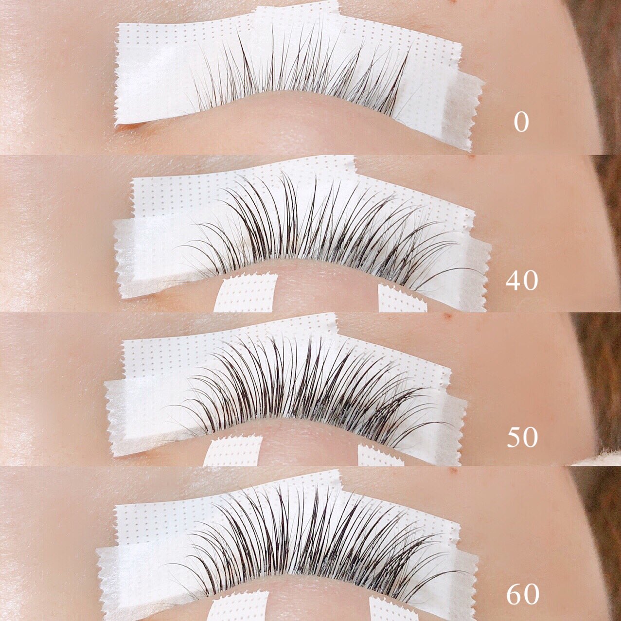 Mil Eyelash 本数によって 密度やボリューム感の 見え方は意外と変わります𓂅 0 40 50 60本 片目本数 参考になれば嬉しいです 𓄼 福井マツエク 福井まつげエクステ 福井美容 福井 坂井市 カラーエクステ T Co X6e6szuglu Twitter