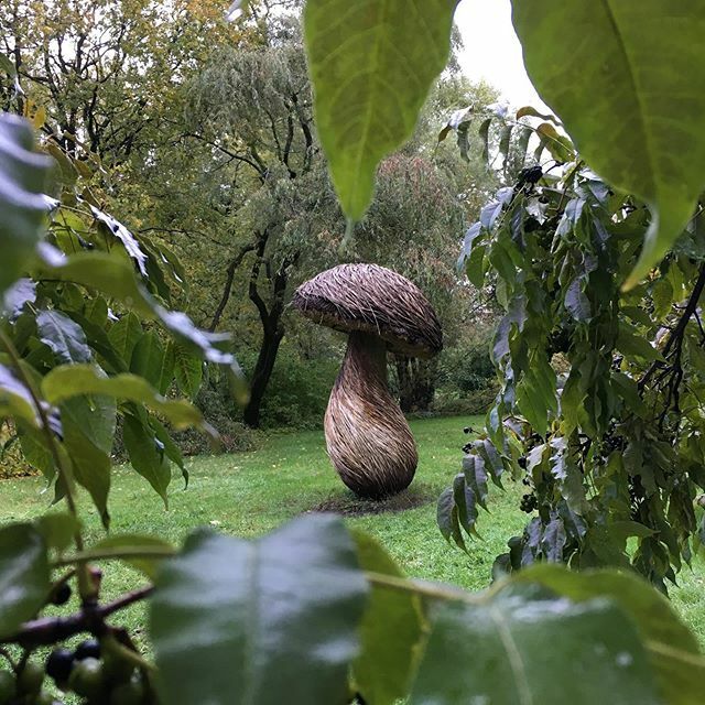 UniOslo_NHM's tweet photo. Det er meldt regn, regn,regn. Hva er vel bedre enn å dra på museum i regnet og etterpå vandre rundt i Botanisk hage før man går på kafé?!
#Naturhistorisk #museum #botaniskhage #helg #regn 📷: @hannelenesk https://t.co/gTEVfFOnzQ https://t.co/XFTM5V1tkZ
