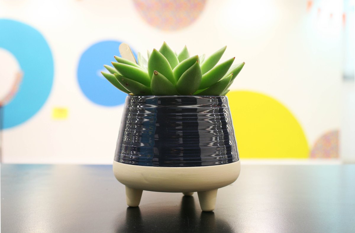 We received this kind gift from our friends at <a href="/UnityGrill/">Frau Lili Heidrich</a>. Thank you very much for our moving in present! We’re looking forward to exploring ‘How we might reimagine unused space in our town as locations for community connection?’ together, now we are neighbours!