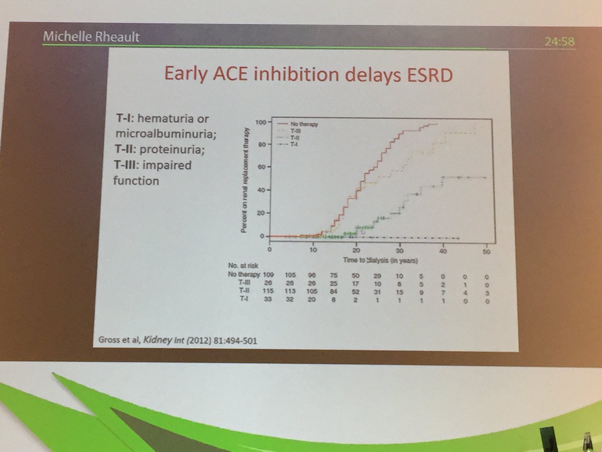 ASPNeph's tweet photo. Dr.  Michelle Rheault  giving a Clinical update including new pharmacologic approaches #ipna2019  @rheault_m  : ACEi or ARBs are reasonable options #ipna2019 https://t.co/DOnV6KOBit