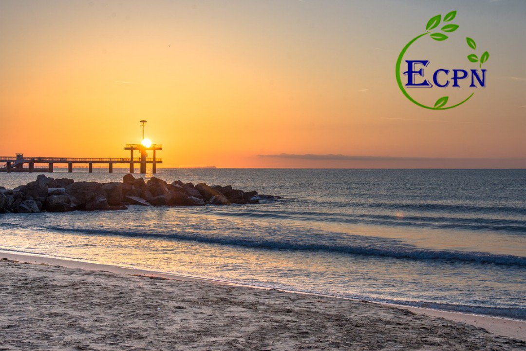 ECPNToken1's tweet photo. Breathe #ECPN
Eat #ECPN
Live #ECPN
#ECPNToken is the future of the #crypto space.
Happy weekend to all our partners
#bitcoin #altcoins #cryptocurrency https://t.co/nmigNDQchc