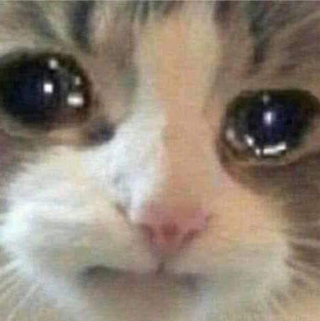 carlaawong's tweet photo. Este semestre ya me tiene HARTA https://t.co/OWz6fdjxnG