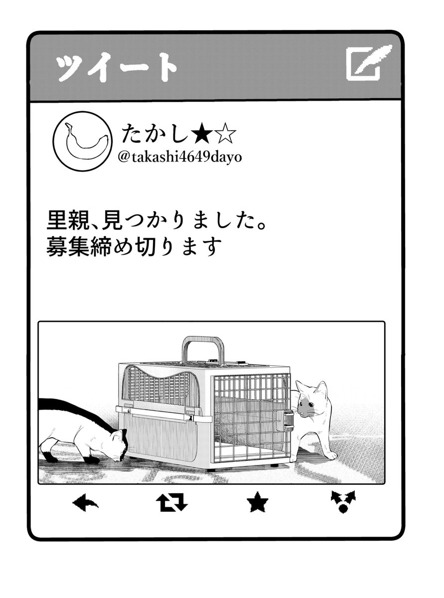 たかしの最新ツイート

#不良がネコに助けられてく話 