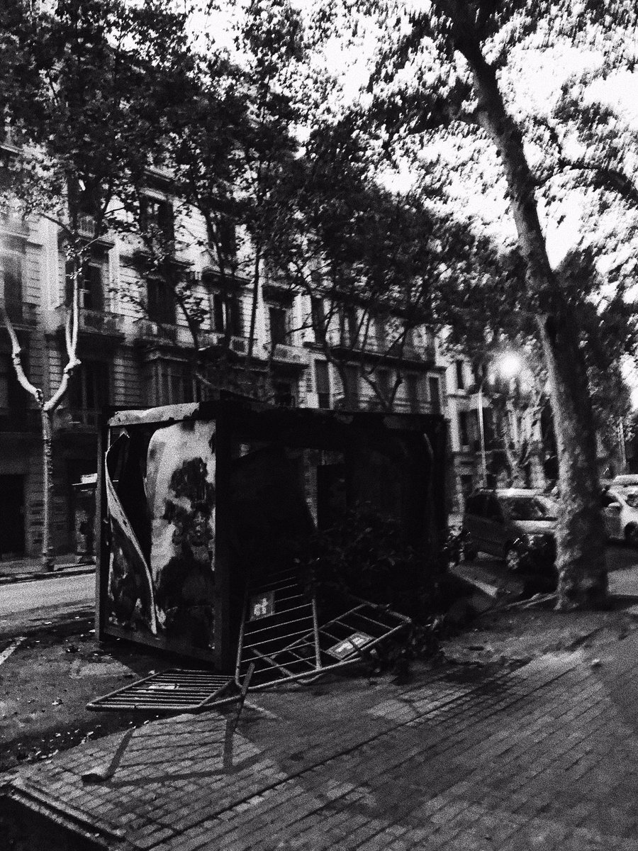 AliGutyy's tweet photo. Algunas de las fotos que he hecho esta misma mañana (19 de octubre de 2019, Barcelona). https://t.co/enAVQkX3C3