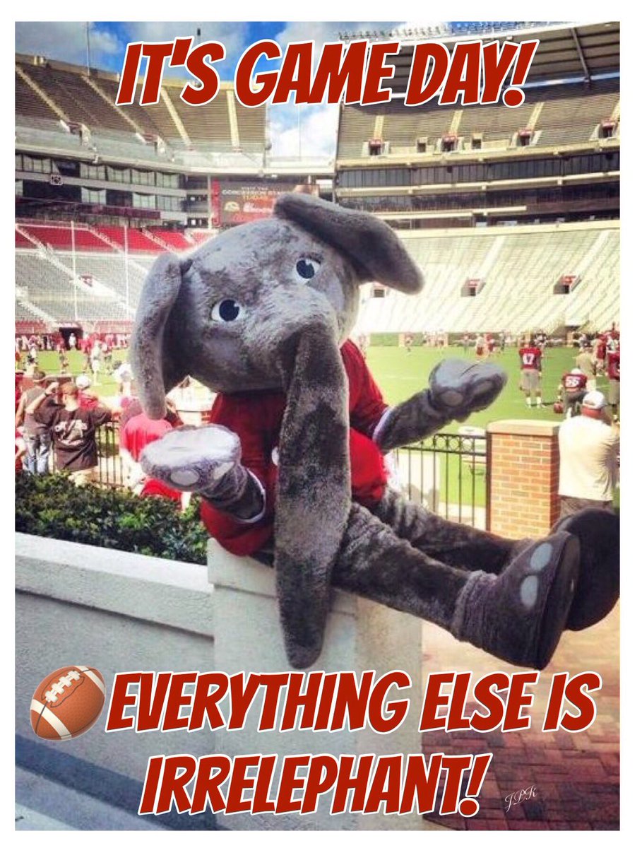 jkittkat's tweet photo. Happy #GameDay everyone! @RyanCFowler @JJacobHarrisonn @TheGAMEon1009 @TidalTowel @DrewD977ESPN @brettbeaird #BamaTwitterArmy
#RollTheVols
#STOMPTennessee🐘
#OrangeCrush
#RevengeTour💪🏻🅰️
#RoadTUA18Continues
#RollTide🅰️🐘🌊🏈 https://t.co/dIDAMGzxDh