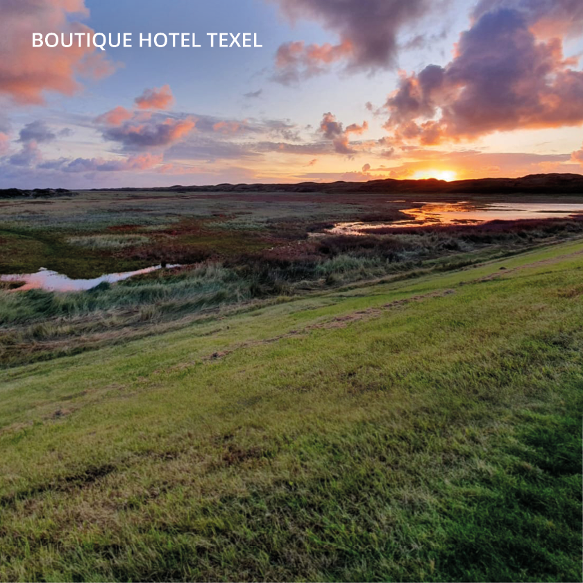 Oh je zou maar een konijntje zijn. Hop, hop, hop, de hele dag de duinen door. 🐰#texel #mooisteachtertuin