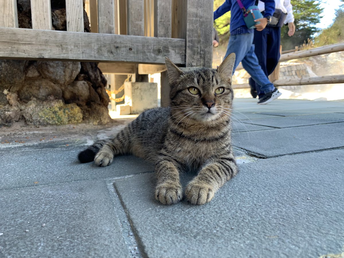 load_red's tweet image. 雲仙地獄 (長崎)
2019.10.19