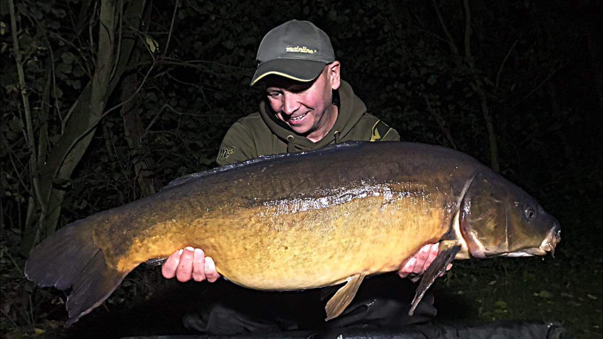 TaskaCarp's tweet photo. Making it look easy now, Mike!! Taska consultant Mike Jones with another bag full of big carp to his name this week.. another outstanding session... Look at these beauties!.
Well done! 
Taska Baseline products giving perfect presentation everytime! 
#teamtaska #taskacarp https://t.co/dLwnnWy5vH