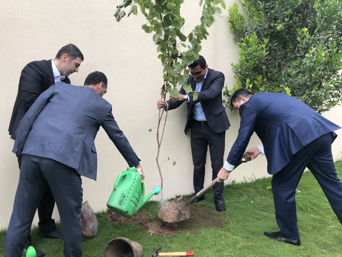 Planted trees🌳🌳 in the Embassy compound and around in Diplomatic Enclave, #Islamabad as a part of Tree Plantation Campaign of @AzerbaijanMFA dedicated to 💯 Anniversary of Diplomatic Service of #Azerbaijan🇦🇿 

#AzDiplomacy100 #Diplomacy100 #ClimateDiplomacy #ClimateChange