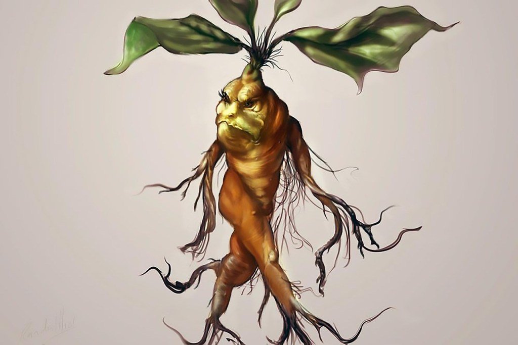 BusinessRonald's tweet photo. Plants Scream Too https://t.co/4Q9dWmlxks https://t.co/GEGr2ovBnu