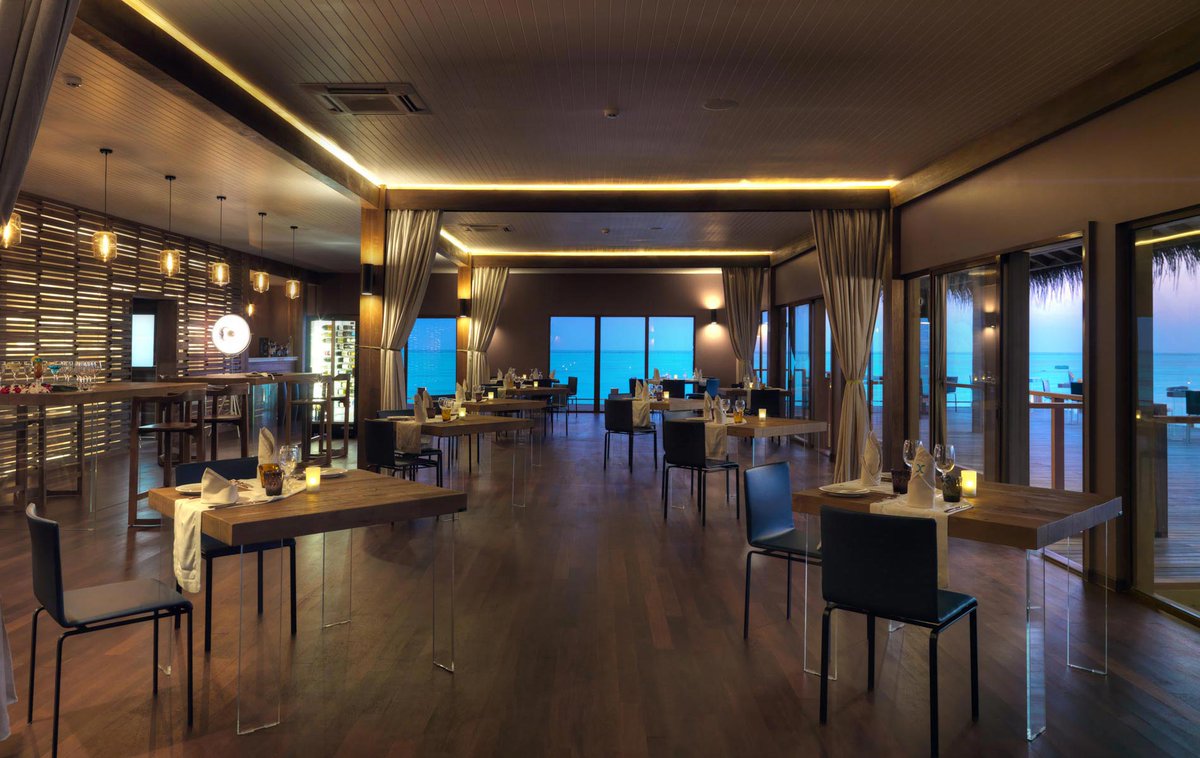 paradisesonline's tweet photo. You deserve and intimate dining after that sun-kissed.

https://t.co/9l2FFBFR6Q

#cocoonmaldives #maldives #maldivesislands #travelgram #maldivesresorts #maldivesinsider #beautifuldestinations #maldivestrip #travelgram https://t.co/817b87Lu0O