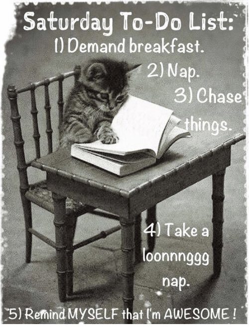 TheHealthHut1's tweet photo. Let’s be more awesome today! We can help with point 1 and 3 🍳🥖🥞 #food #breakfast #newport #healthhut #cleaneating https://t.co/G0rrt1WIyk