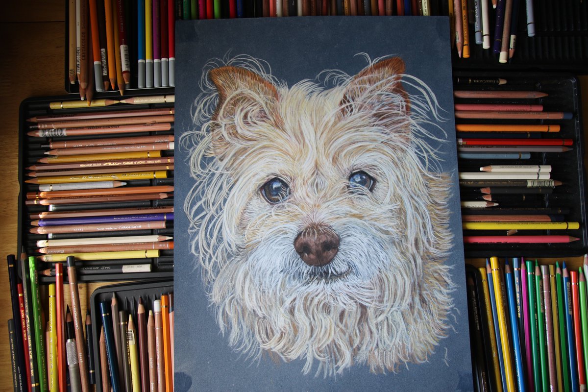 Sandraksnd's tweet photo. Hi everybody, as part of the Wexford Opera fringe events,I,ll be showing some of my Pet Portraits and my little hive of Bees in the most wondeful spot that is The Red Kettle.#wexford #art #wexfordoperafestival #theredkettle #rescuedogs #wspca #petportraits https://t.co/jMlQ4eHW88