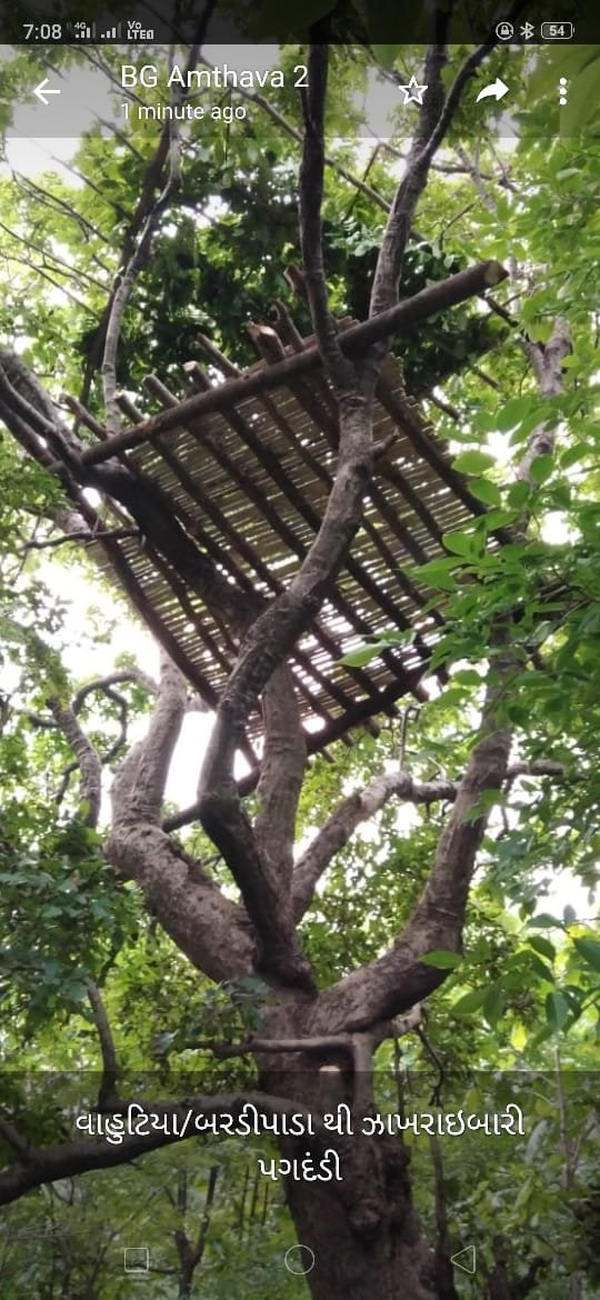 CCF Valsad Circle tweet media